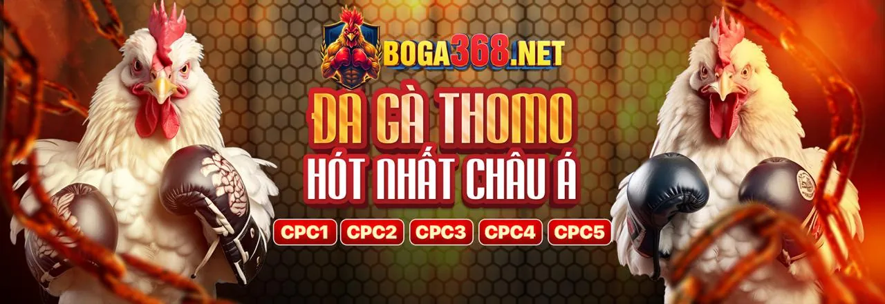 Đá Gà Trực Tuyến betvnd99 nhà cái